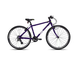 frog 73 purple