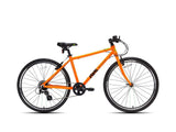 frog 73 orange